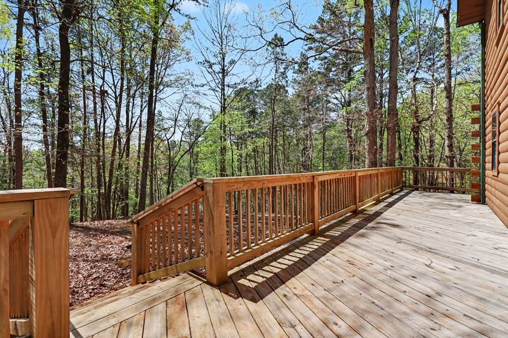 114 Palisade Drive, Ellijay GA 30540 - Photo