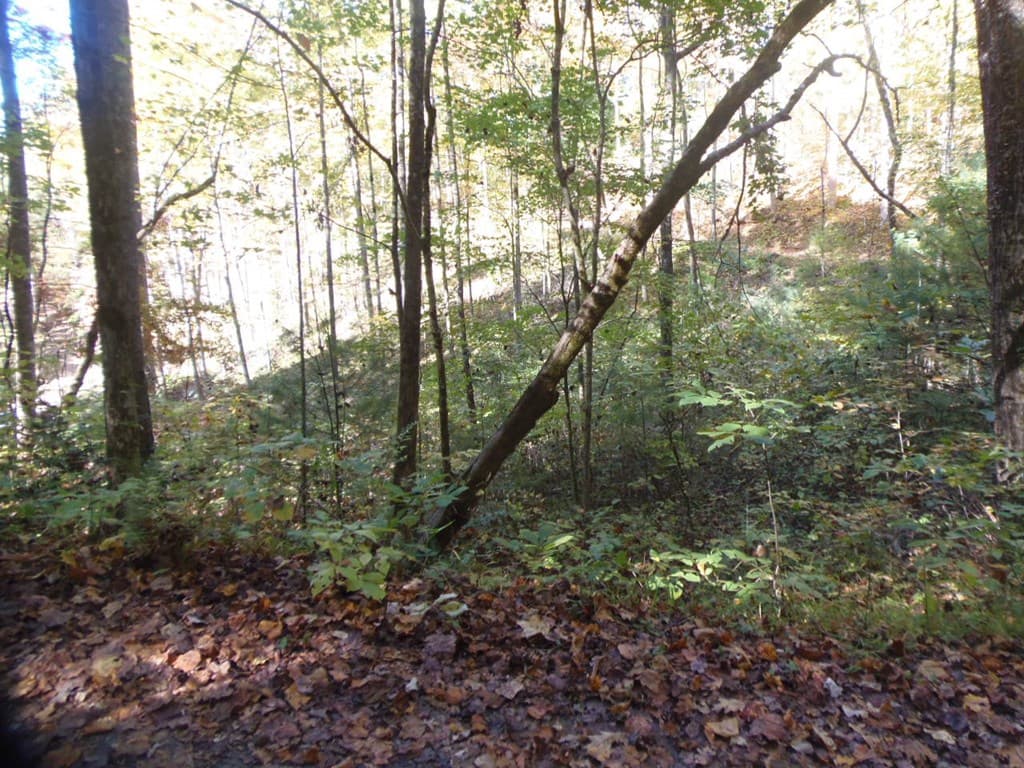 27 Page Lane, Murphy NC 28906 - Photo