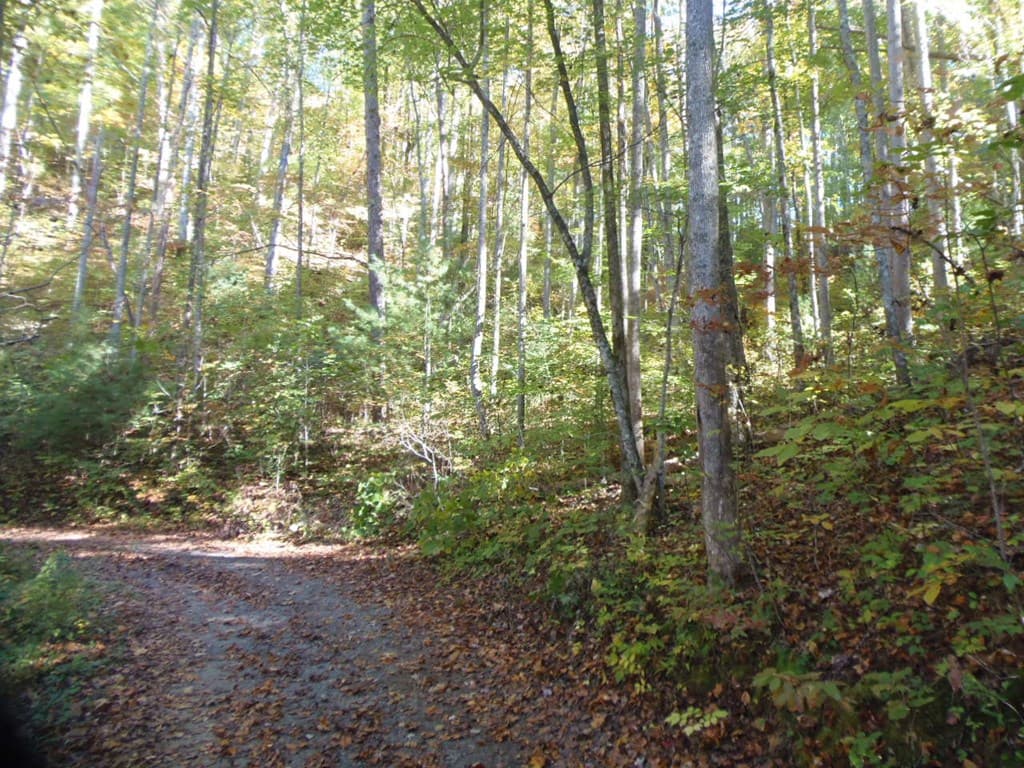 27 Page Lane, Murphy NC 28906 - Photo