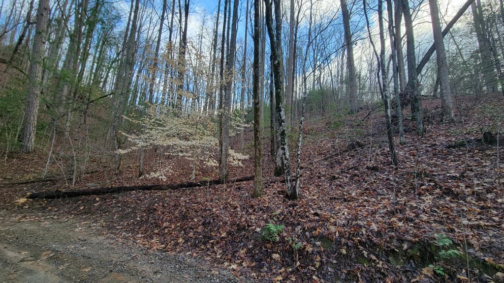 27 Page Lane, Murphy NC 28906 - Photo