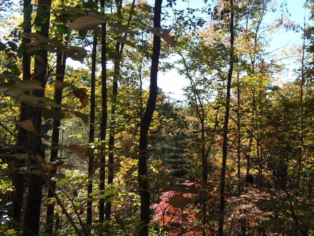 27 Page Lane, Murphy NC 28906 - Photo