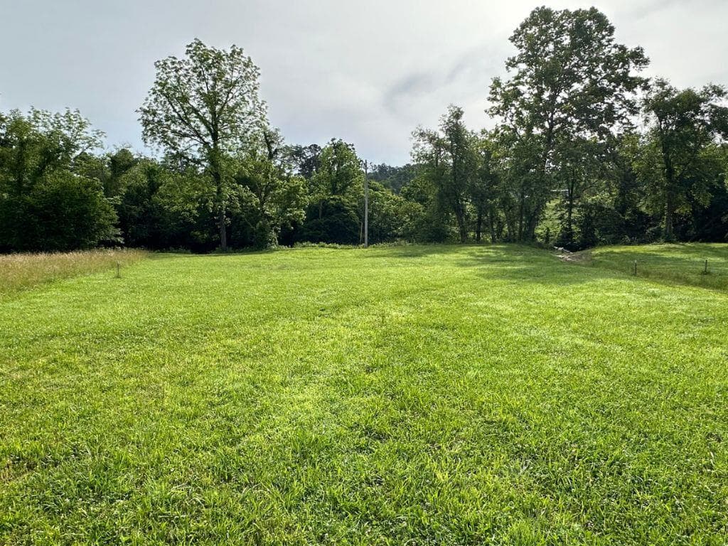Lot 28 Brasstown Trails, Warne NC 28909 - Photo