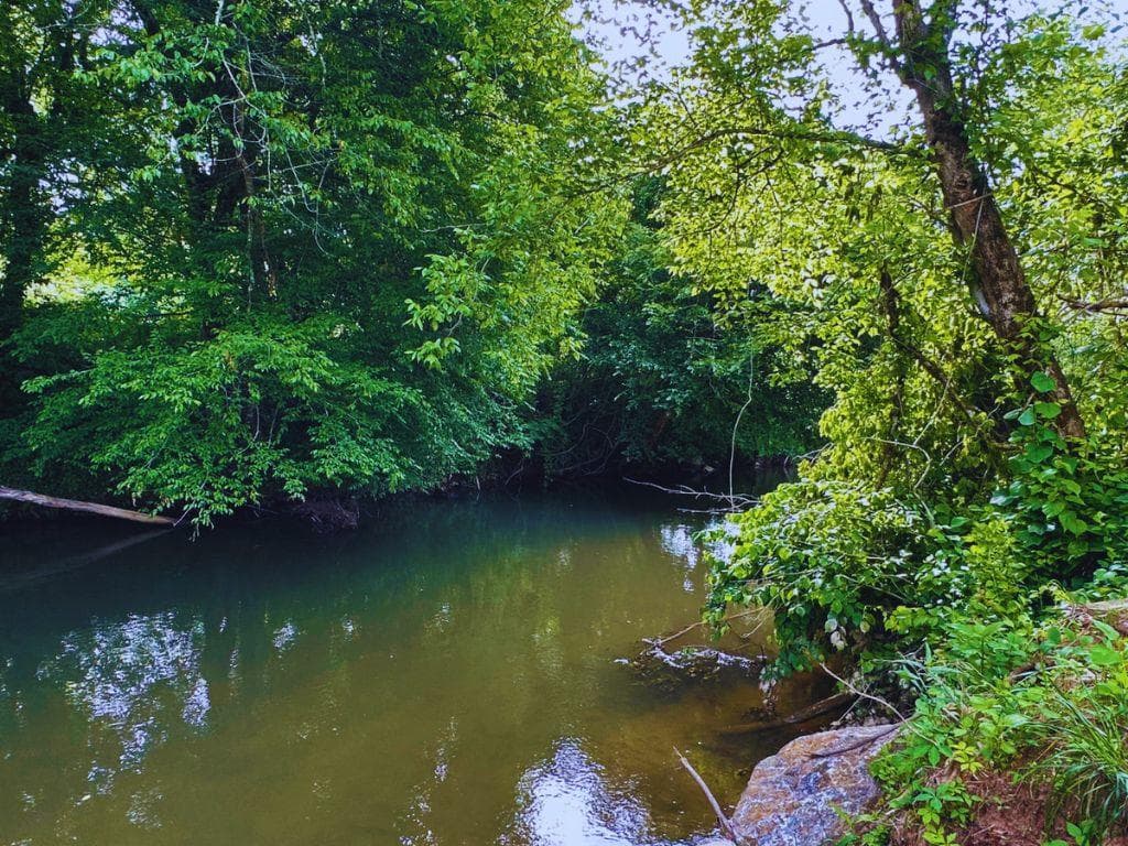 Lot 28 Brasstown Trails, Warne NC 28909 - Photo