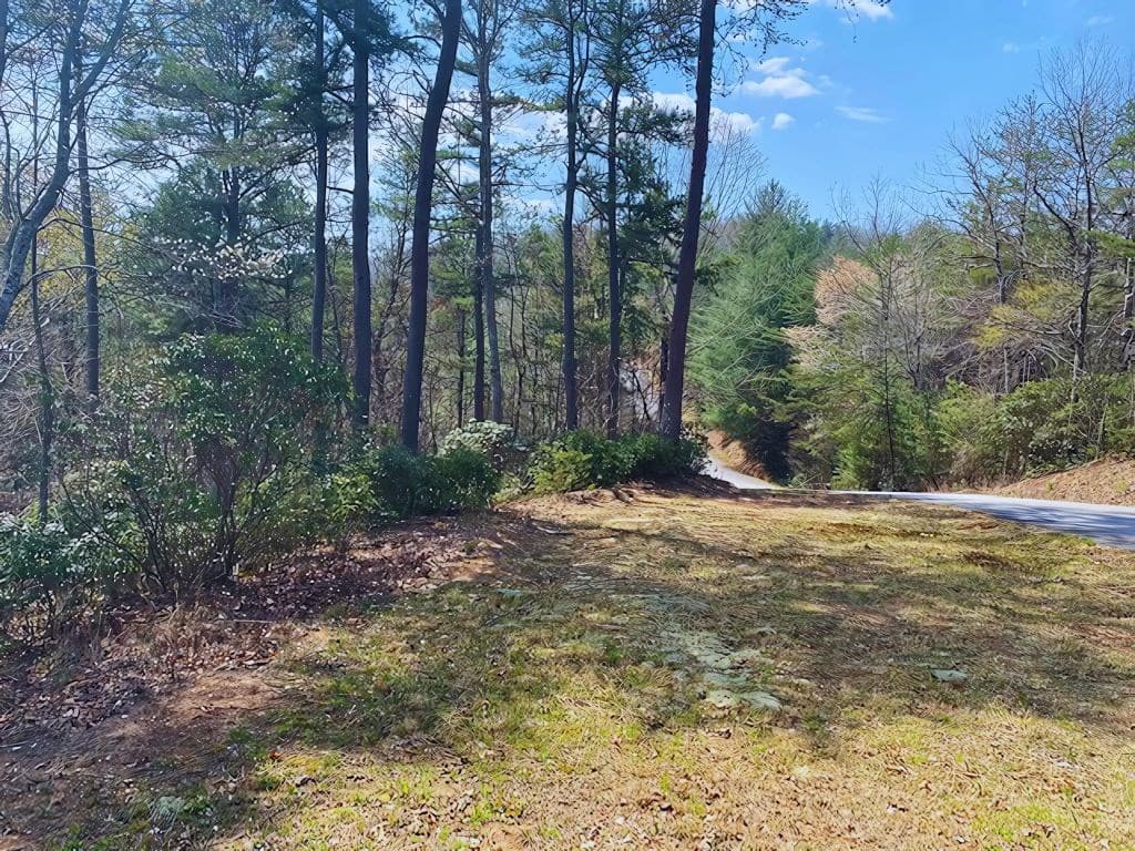 Lot 28 Brasstown Trails, Warne NC 28909 - Photo