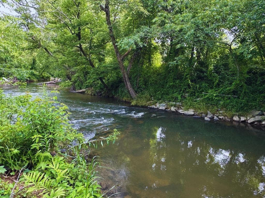 Lot 28 Brasstown Trails, Warne NC 28909 - Photo