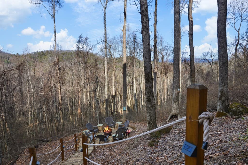 401 Dancing Leaves Trail, Blue Ridge GA 30513 - Photo