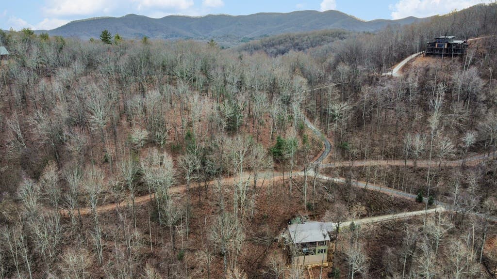 401 Dancing Leaves Trail, Blue Ridge GA 30513 - Photo