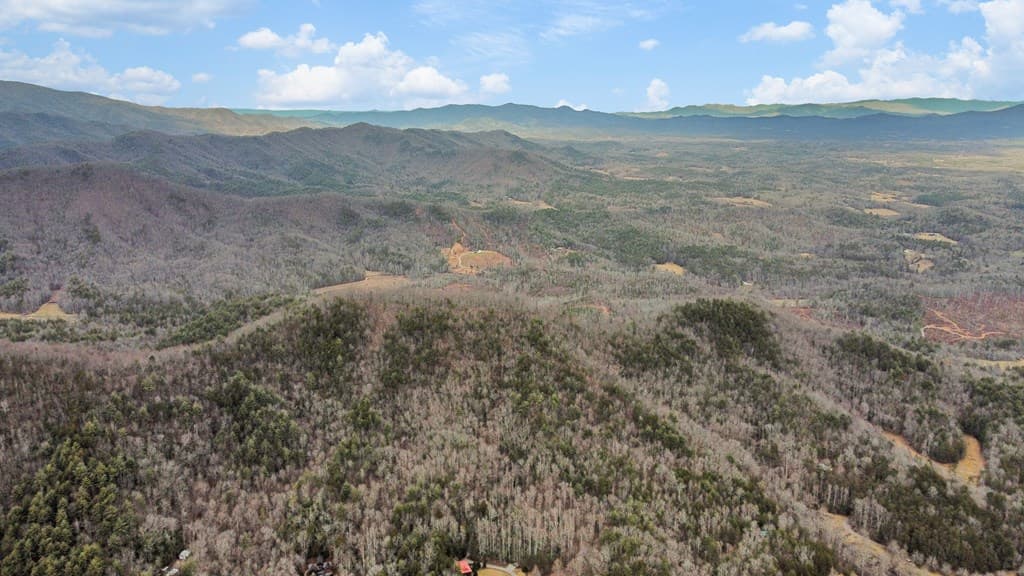 401 Dancing Leaves Trail, Blue Ridge GA 30513 - Photo