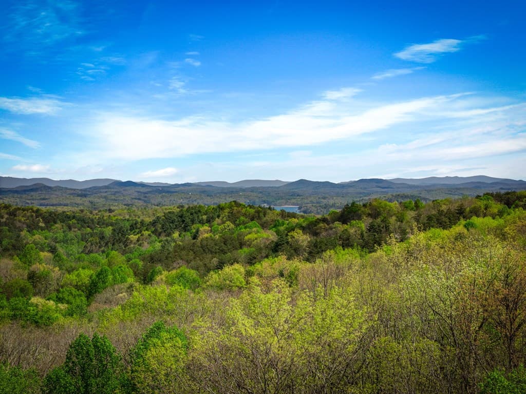 245 Davenport Mountain Road, Blue Ridge GA 30513 - Photo