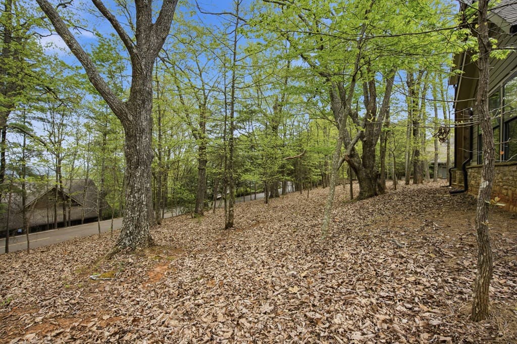 83 Summit Drive W, Big Canoe GA 30143 - Photo