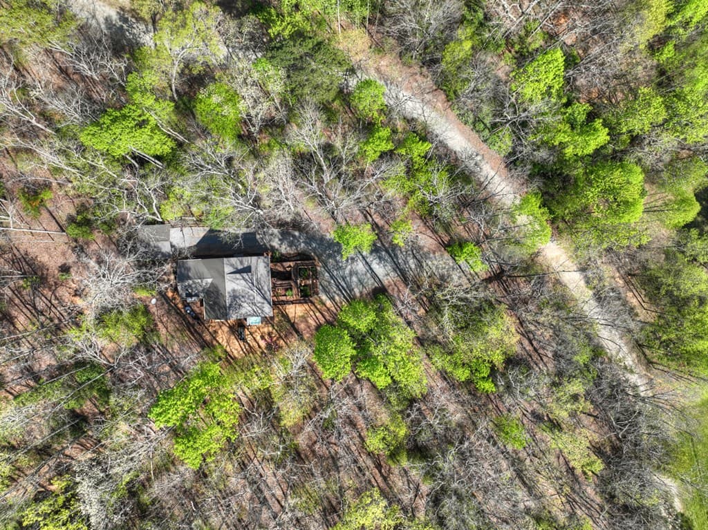 185 Locust Lane, Morganton GA 30560 - Photo