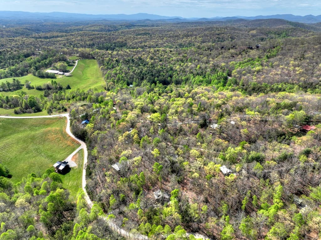 185 Locust Lane, Morganton GA 30560 - Photo