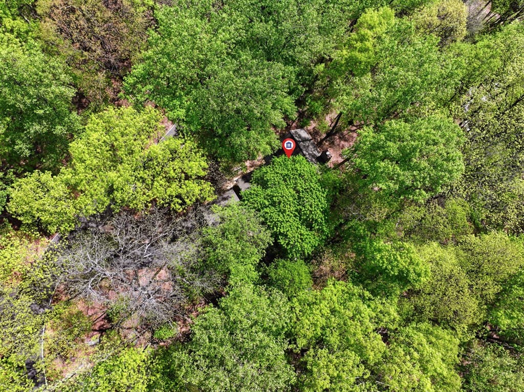 225 Windflower Drive, Big Canoe GA 30143 - Photo