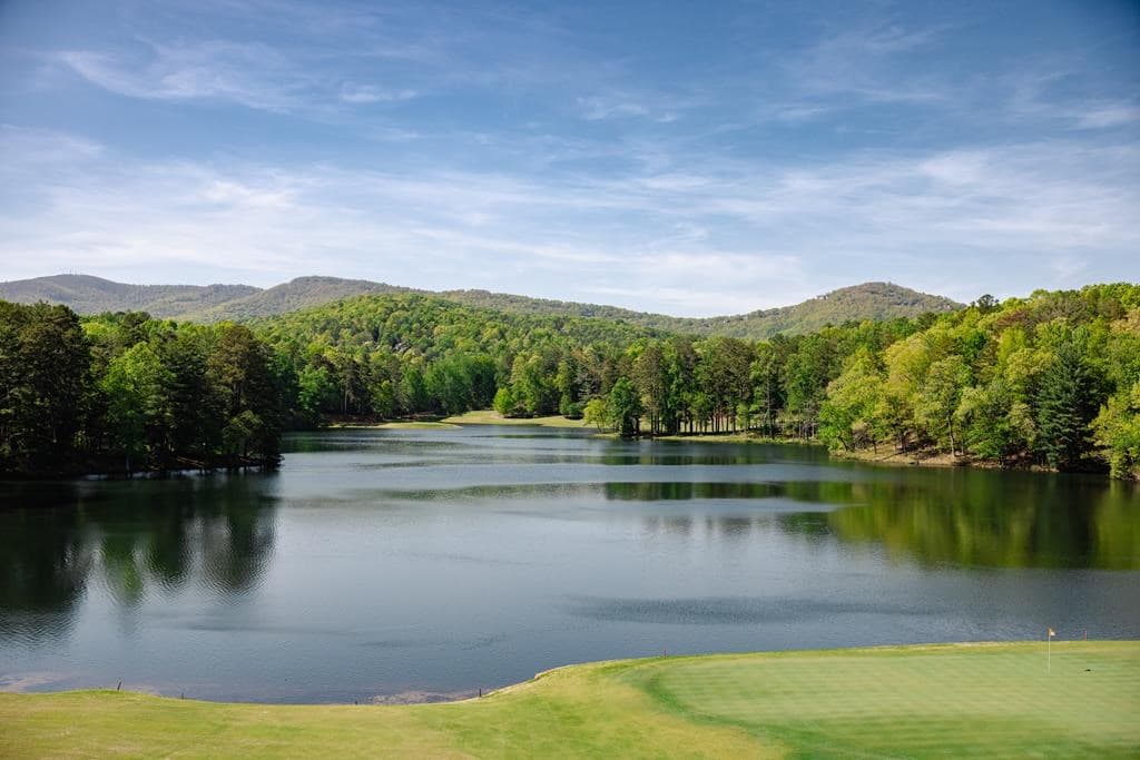 225 Windflower Drive, Big Canoe GA 30143 - Photo