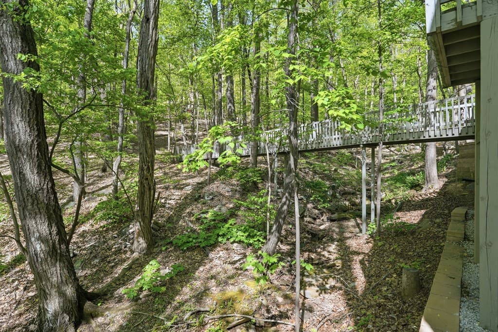 225 Windflower Drive, Big Canoe GA 30143 - Photo