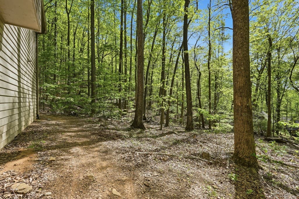 225 Windflower Drive, Big Canoe GA 30143 - Photo