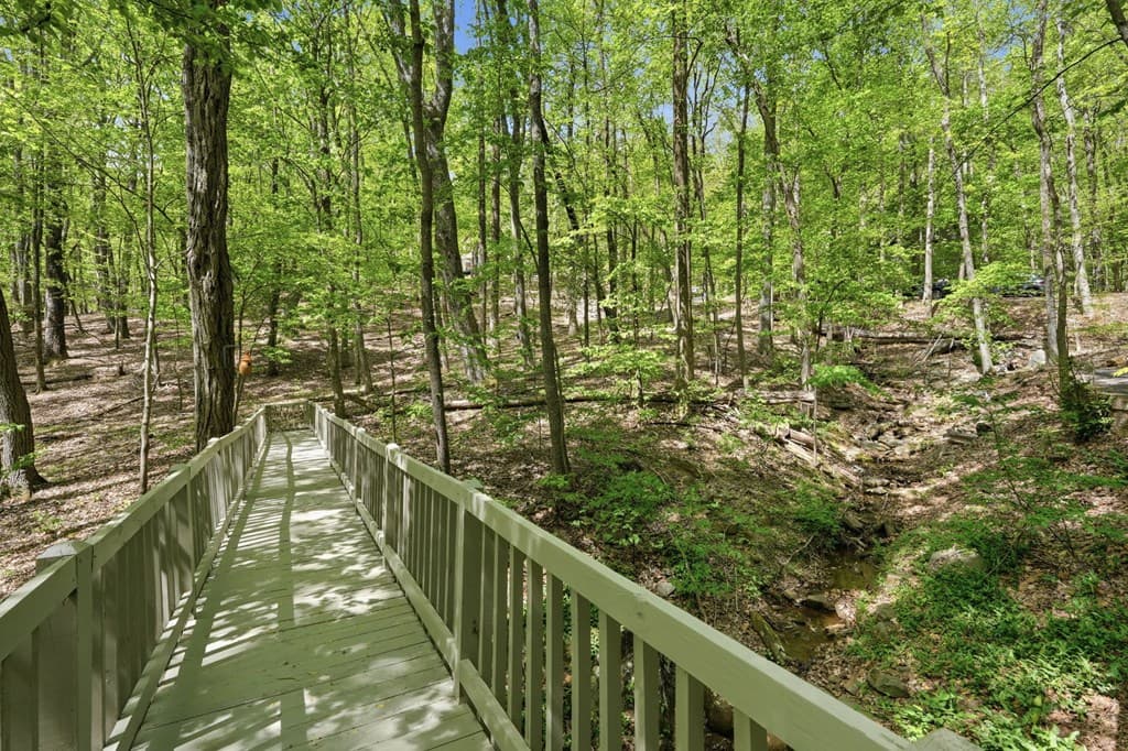 225 Windflower Drive, Big Canoe GA 30143 - Photo