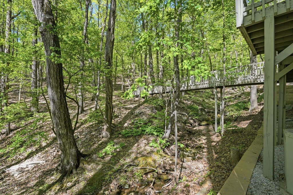 225 Windflower Drive, Big Canoe GA 30143 - Photo