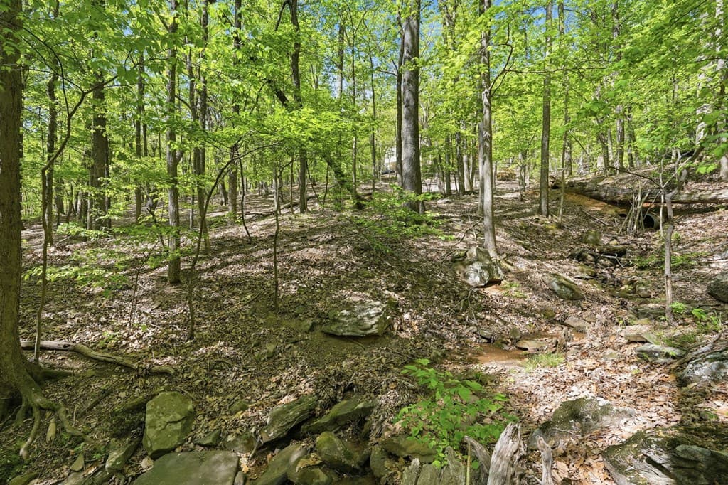 225 Windflower Drive, Big Canoe GA 30143 - Photo