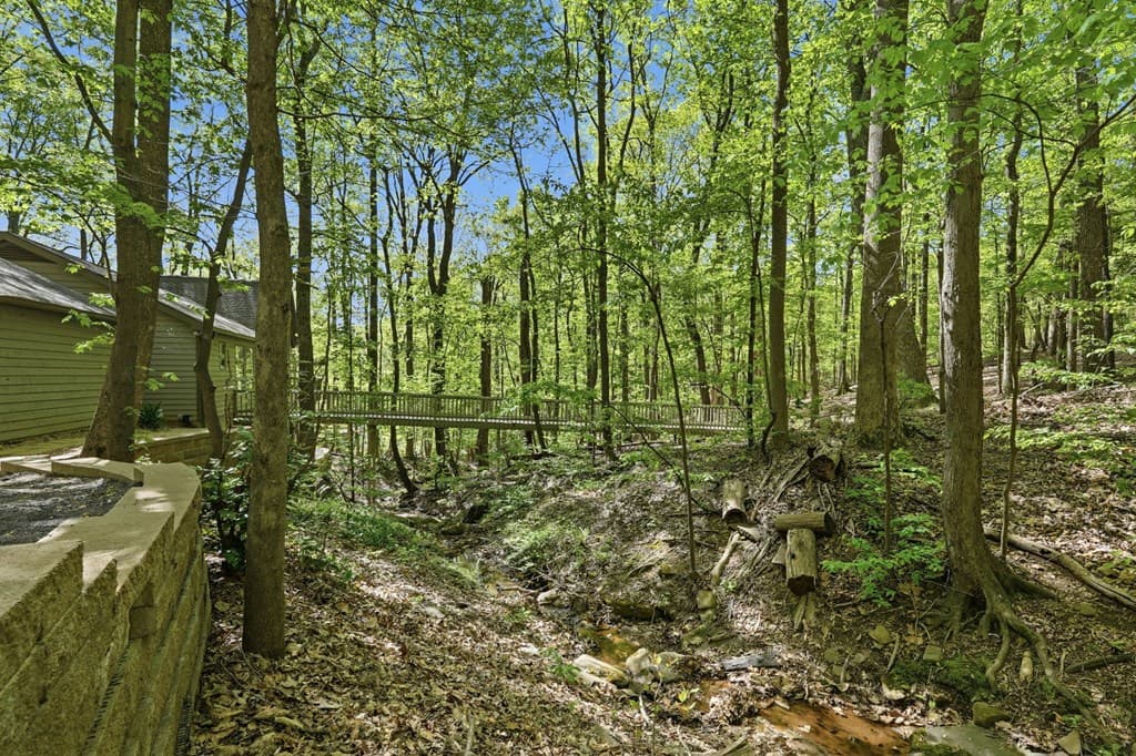 225 Windflower Drive, Big Canoe GA 30143 - Photo