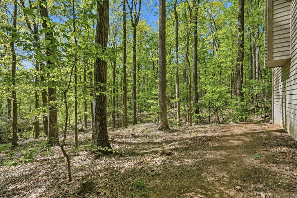 225 Windflower Drive, Big Canoe GA 30143 - Photo