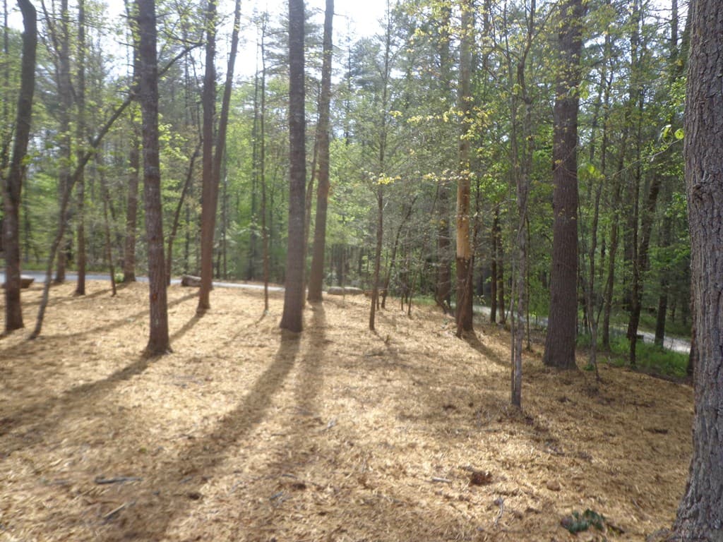 561 Woodland Trail, Epworth GA 30541 - Photo