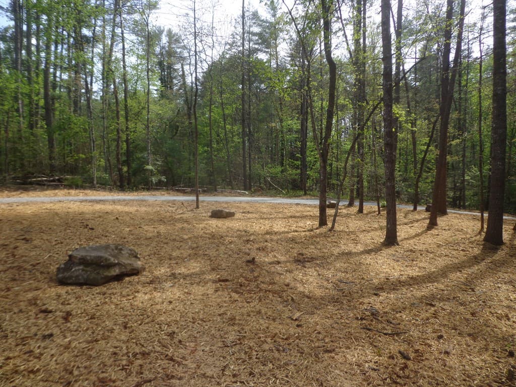 561 Woodland Trail, Epworth GA 30541 - Photo