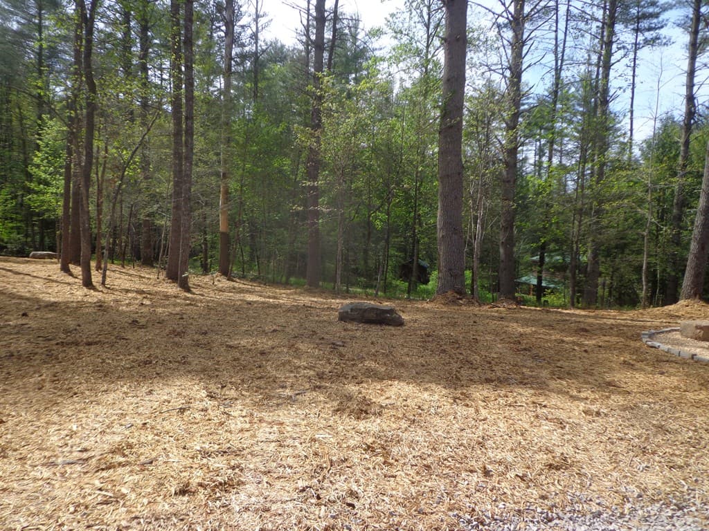 561 Woodland Trail, Epworth GA 30541 - Photo
