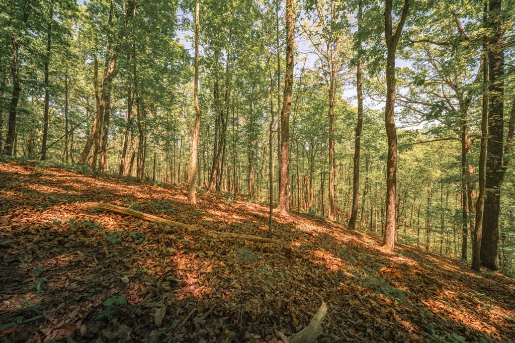 00 Hancock Mountain Trail, Waleska GA 30183 - Photo