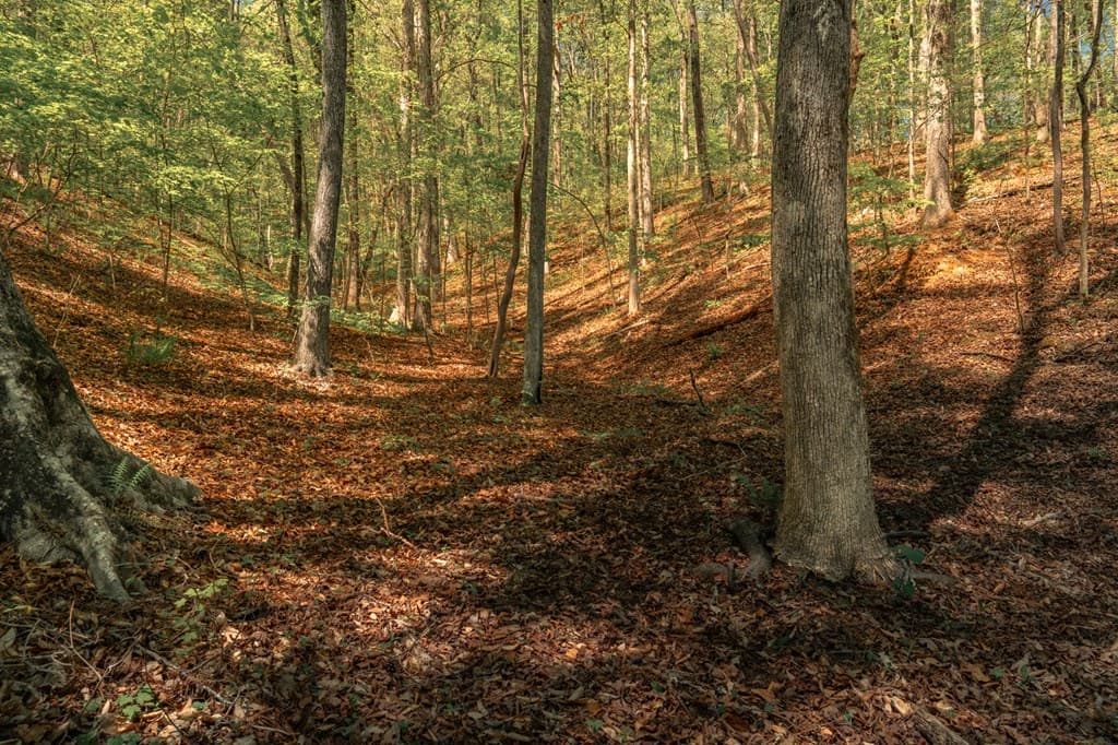 00 Hancock Mountain Trail, Waleska GA 30183 - Photo