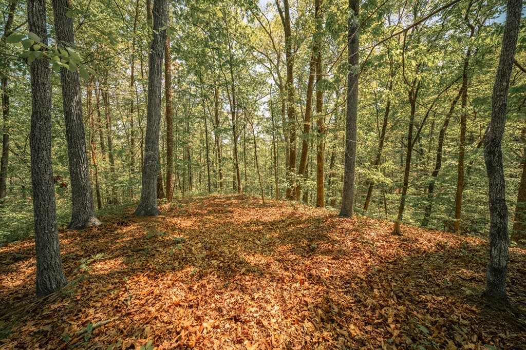 00 Hancock Mountain Trail, Waleska GA 30183 - Photo
