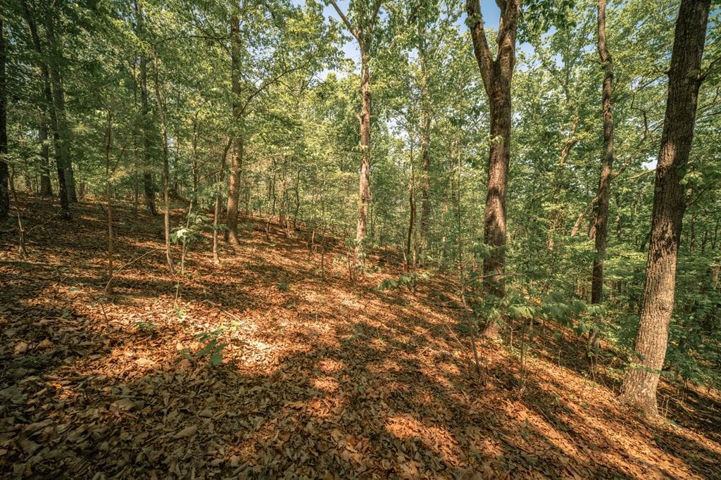 00 Hancock Mountain Trail, Waleska GA 30183 - Primary photo