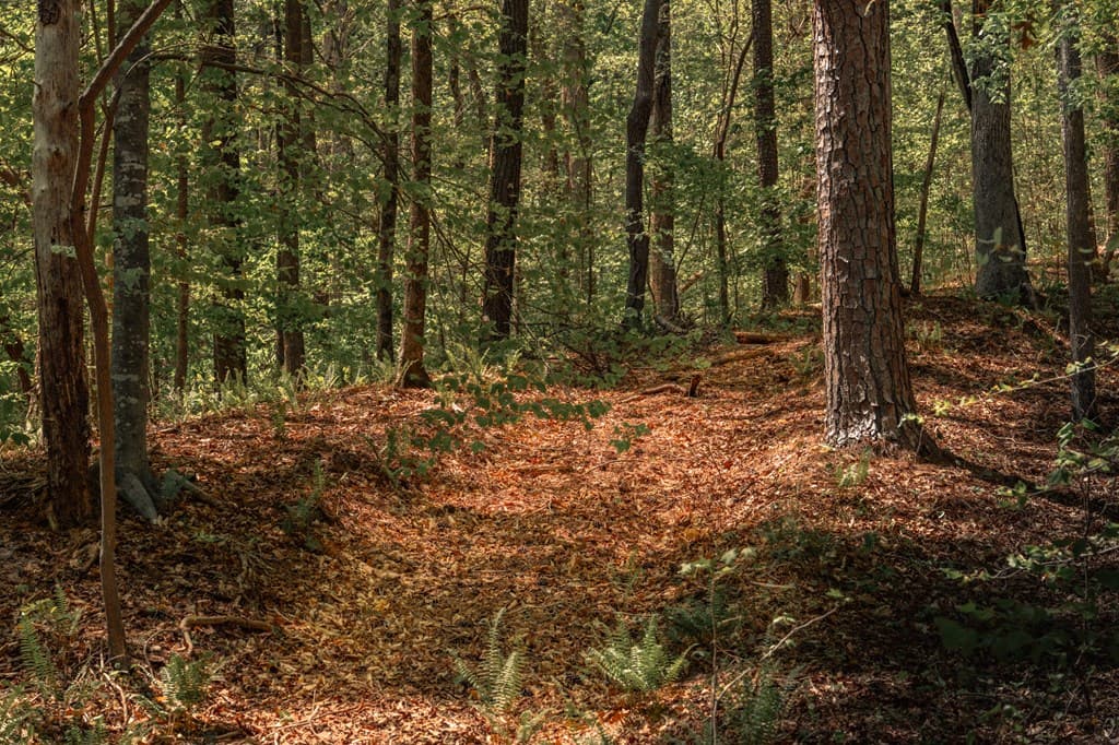 00 Hancock Mountain Trail, Waleska GA 30183 - Photo