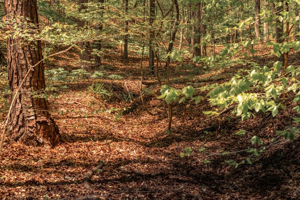 00 Hancock Mountain Trail, Waleska GA 30183 - Photo