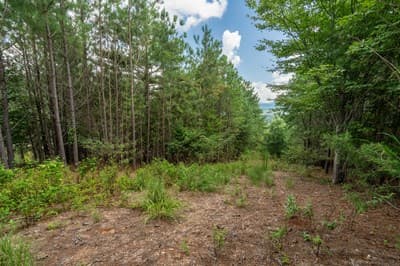 Lot 29 Sunset View, Blairsville GA 30512 - Photo