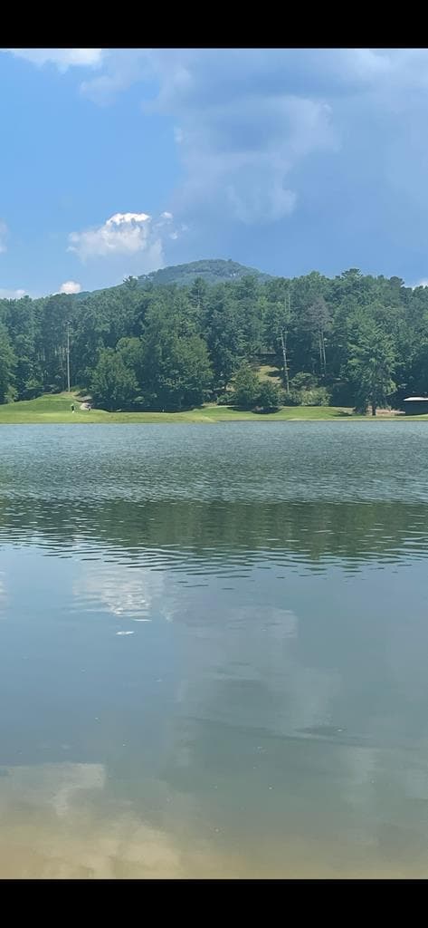 135 Chestnut Rise Trail, Unit #441c, Jasper GA 30143 - Photo