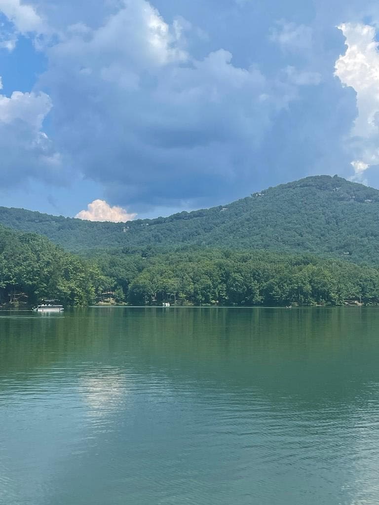 135 Chestnut Rise Trail, Unit #441c, Jasper GA 30143 - Photo