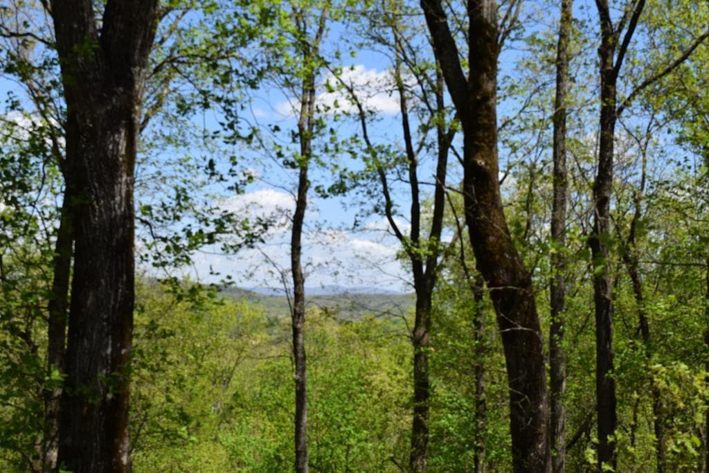 Lot 190 Hawks Nest Court, Ellijay GA 30536 - Photo
