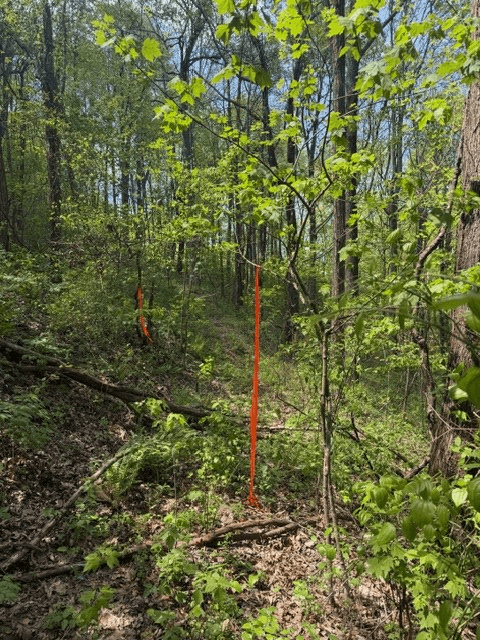 Lot 190 Hawks Nest Court, Ellijay GA 30536 - Photo