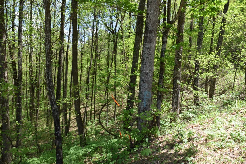 Lot 190 Hawks Nest Court, Ellijay GA 30536 - Photo