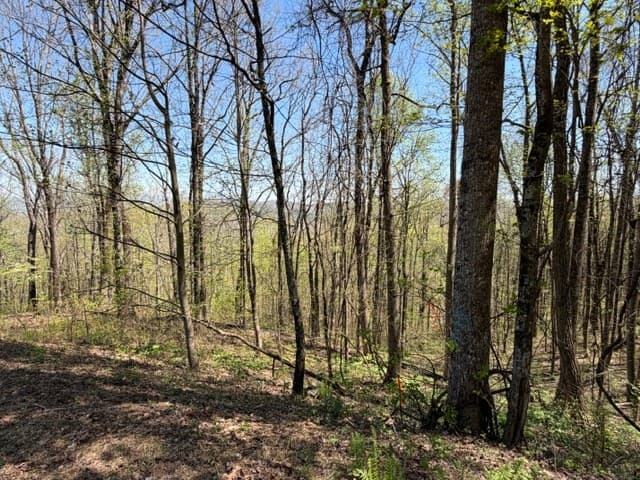 Lot 190 Hawks Nest Court, Ellijay GA 30536 - Photo