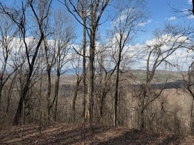 Lot 190 Hawks Nest Court, Ellijay GA 30536 - Primary photo