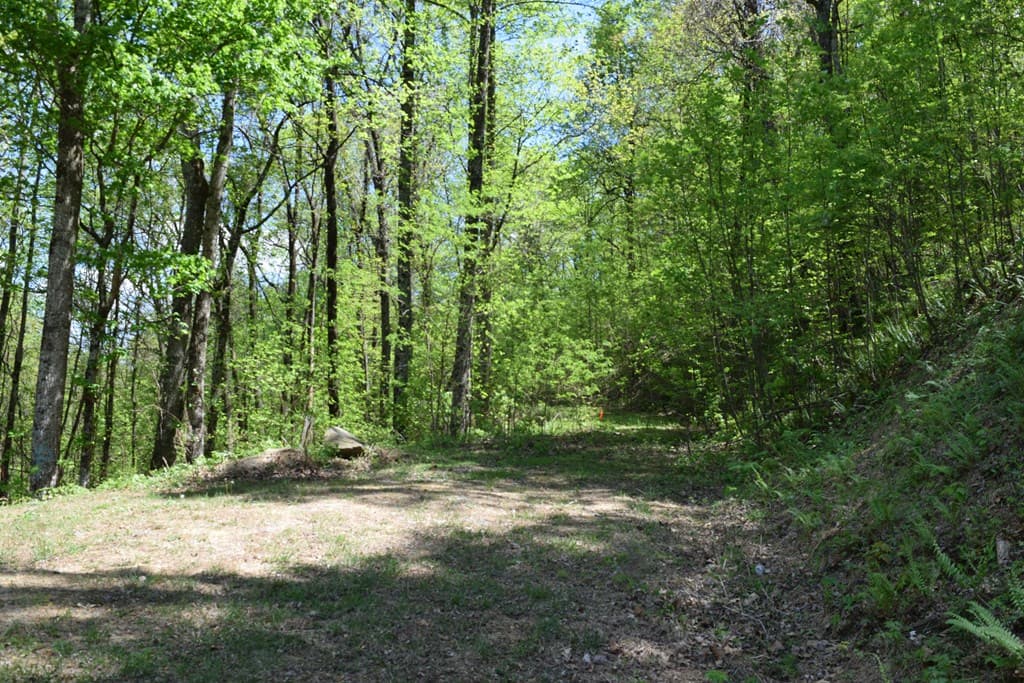 Lot 190 Hawks Nest Court, Ellijay GA 30536 - Photo