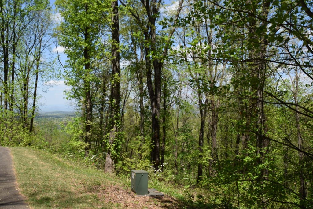 Lot 190 Hawks Nest Court, Ellijay GA 30536 - Photo
