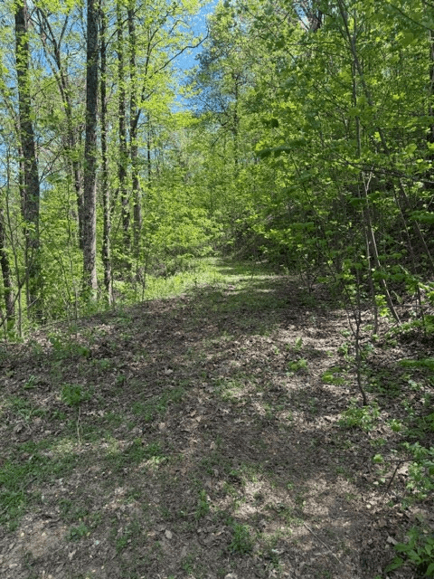 Lot 190 Hawks Nest Court, Ellijay GA 30536 - Photo