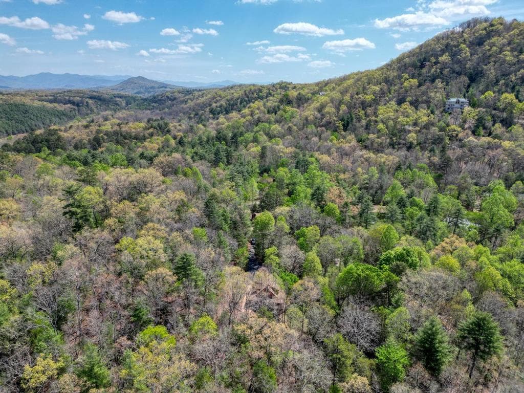 442 Country Springs Lane, Murphy NC 28906 - Photo
