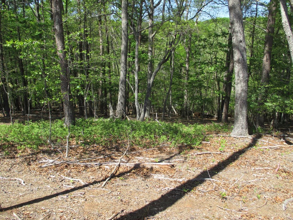 000 E Morrison Moore Parkway, Dahlonega GA 30533 - Photo