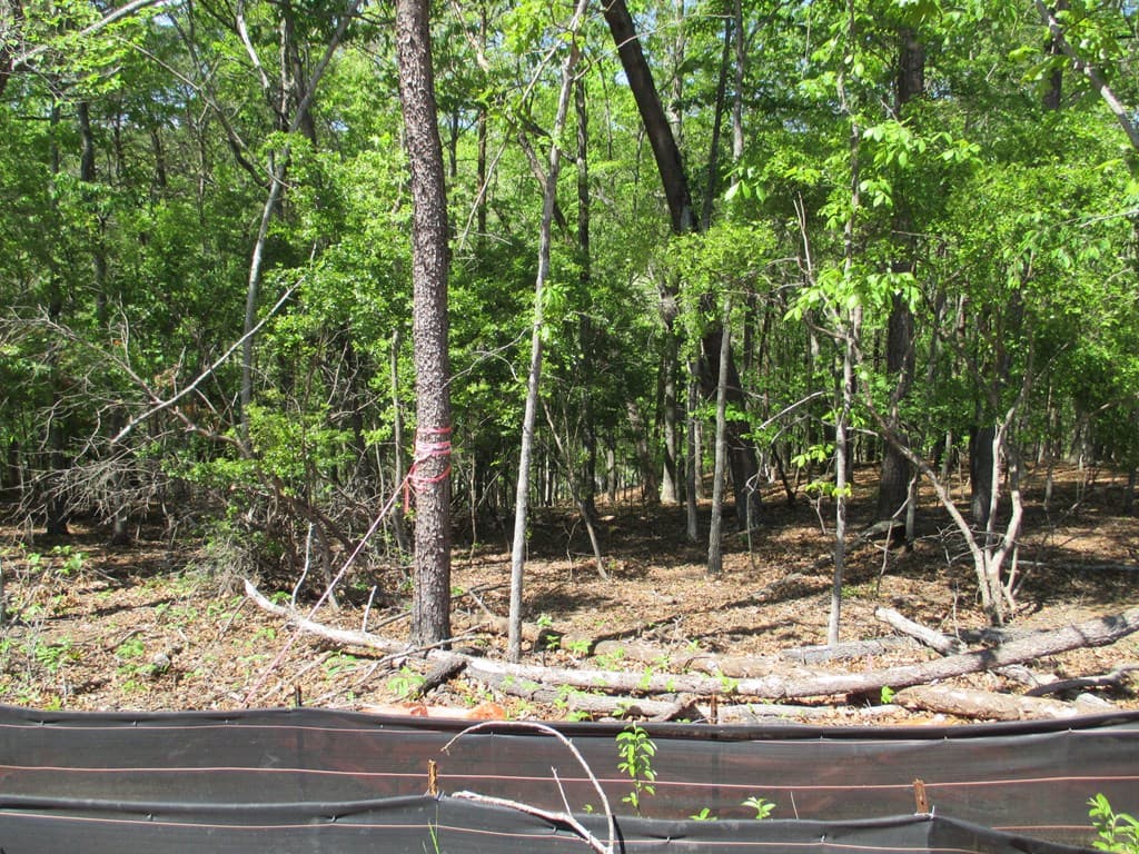 000 E Morrison Moore Parkway, Dahlonega GA 30533 - Photo