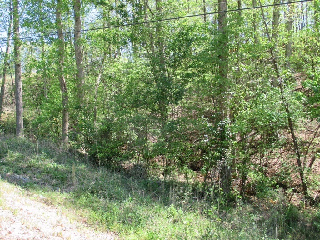 000 E Morrison Moore Parkway, Dahlonega GA 30533 - Photo