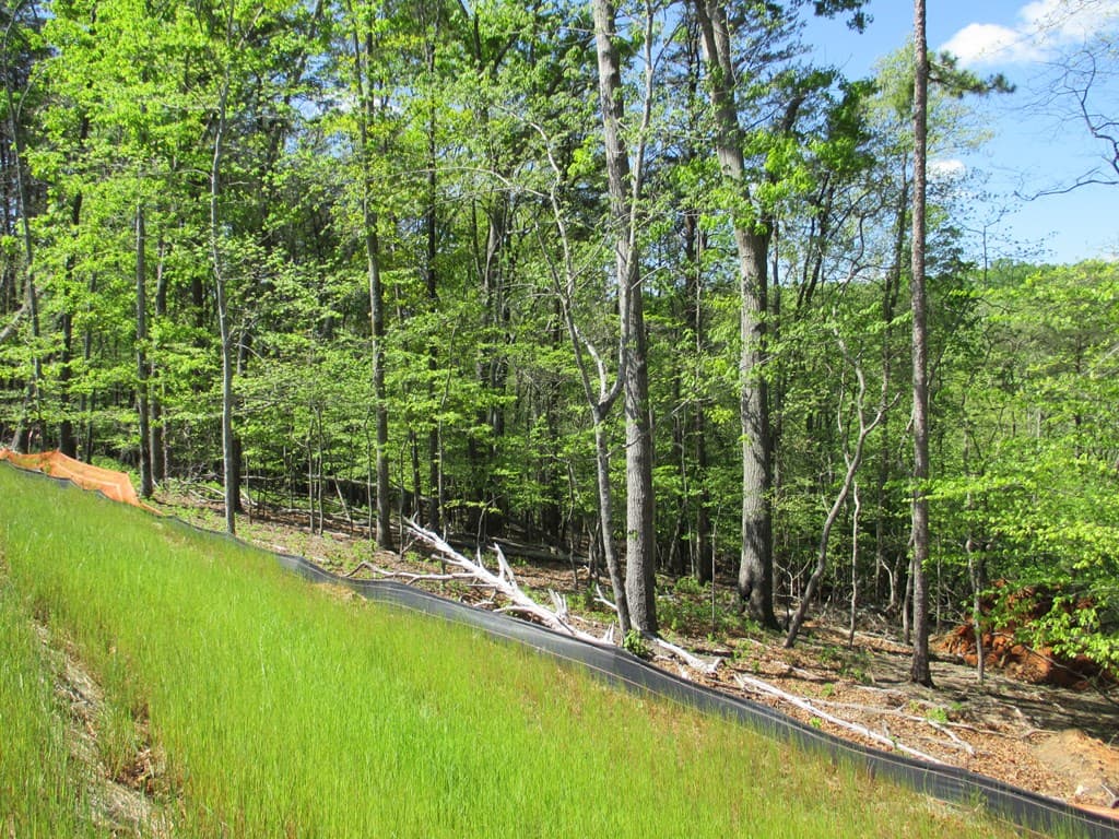 000 E Morrison Moore Parkway, Dahlonega GA 30533 - Photo